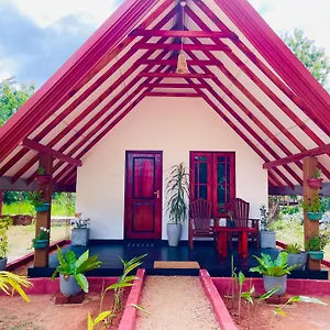  Frühstückspension Sigiri Enaya Sri Lanka